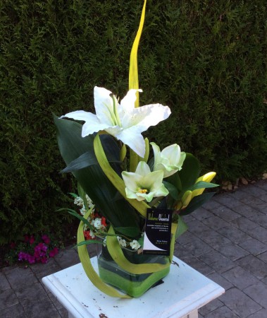 Lys, feuilles de palme